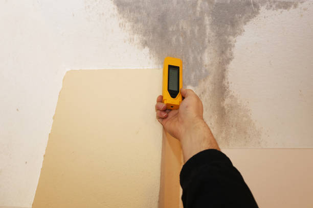 Best Mold Prevention Services  in Conway, FL