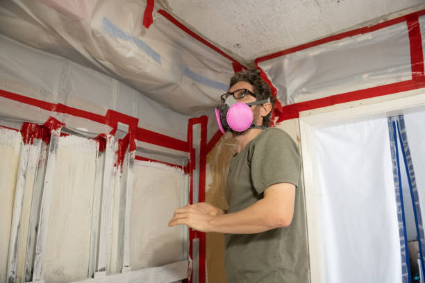 Best Attic Mold Removal  in Conway, FL
